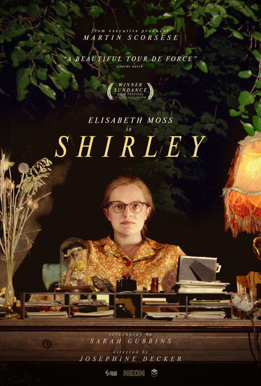 shirley movie review poster