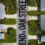 A top down view of a suburban street with examples of debris and chaos caused by dinosaurs
